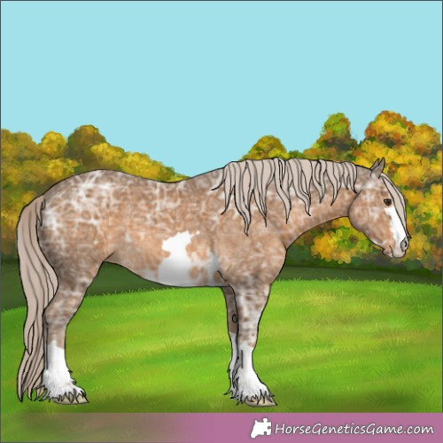 Horse Color:Chocolate Palomino Ice 