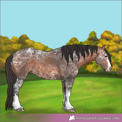 Horse Color:Brown Ice 