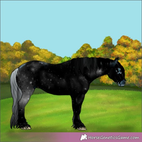 Horse Color:ERROR: UNKNOWN ANOMALY