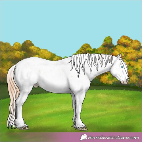 Horse Color:Buckskin Pearl Sabino 