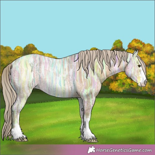 Horse Color:Chocolate Palomino Ice Dun Appaloosa Rabicano 