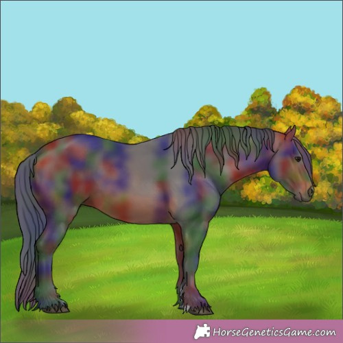 Horse Color:Nacre Bay 