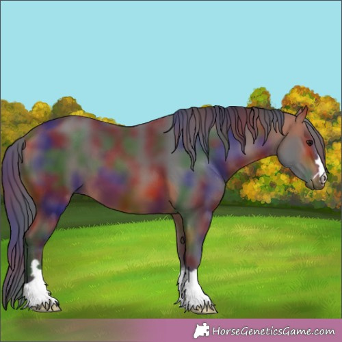 Horse Color:Nacre Bay 