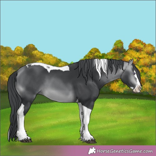 Horse Color:Brown Chinchilla Splash Tobiano 