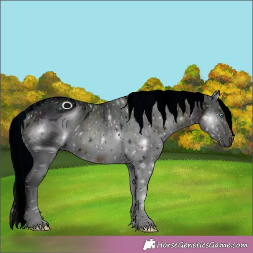 Horse Color:ERROR: UNKNOWN ANOMALY