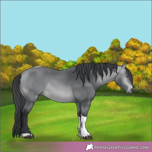 Horse Color:Brown Chinchilla Tobiano 