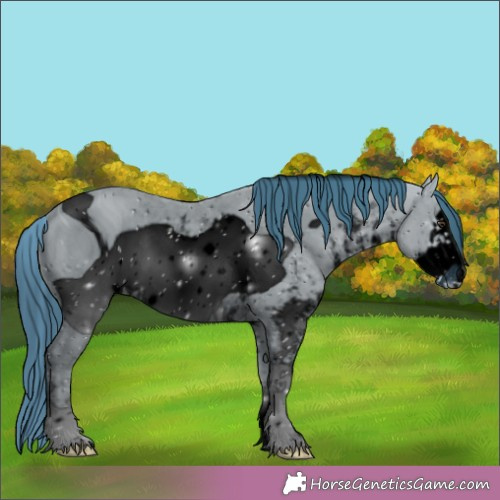 Horse Color:ERROR: UNKNOWN ANOMALY