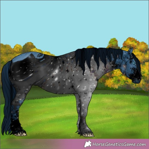 Horse Color:ERROR: UNKNOWN ANOMALY
