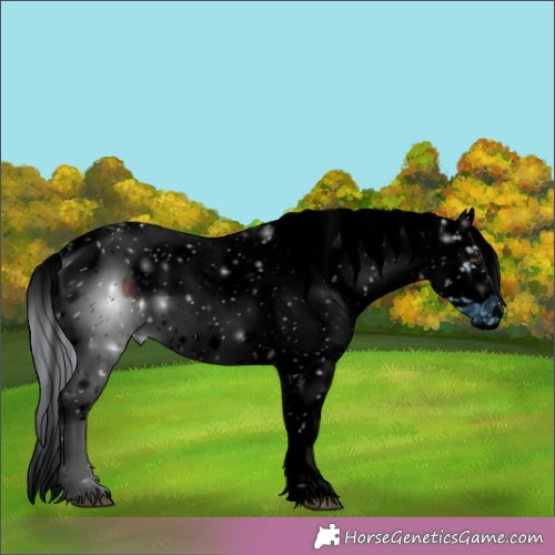 Horse Color:ERROR: UNKNOWN ANOMALY