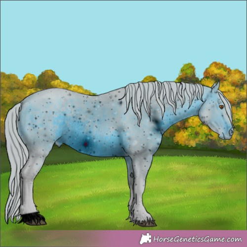 Horse Color:ERROR: UNKNOWN ANOMALY