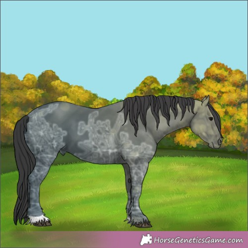 Horse Color:Black Ice 