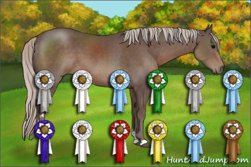 Horse Color: Silver Black Sabino 
