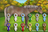 Horse Color:Silver Black Sabino 