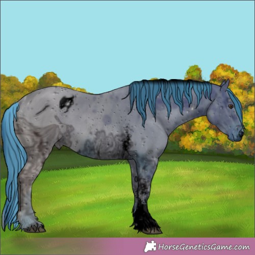 Horse Color:ERROR: UNKNOWN ANOMALY