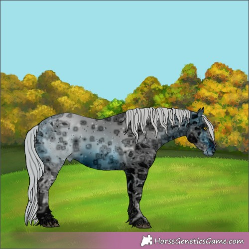 Horse Color:ERROR: UNKNOWN ANOMALY