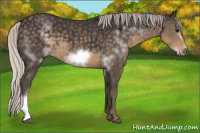 Horse Color:White Spotted Silver Smoky Black Frame 