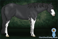 Horse Color:Brown Sabino