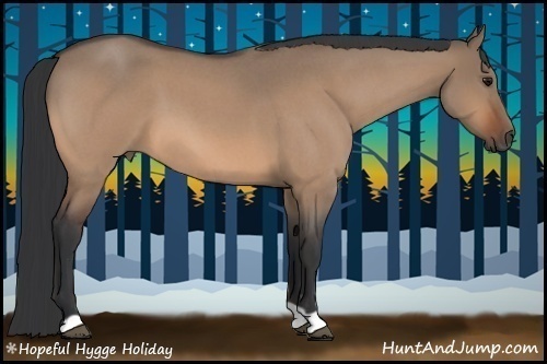 Horse Color:Bay Roan Dun