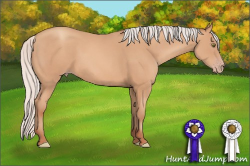 Horse Color: Unknown 