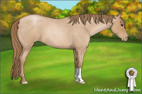 Horse Color:Blue Roan Pearl 