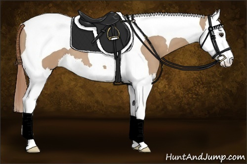 Horse Color:Red Dun Splash Tobiano 