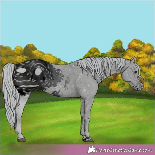 Horse Color:ERROR: UNKNOWN ANOMALY