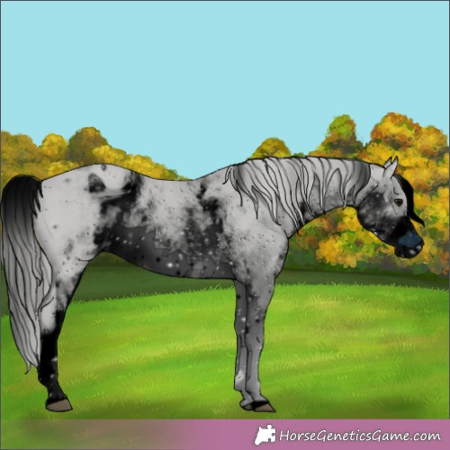 Horse Color:ERROR: UNKNOWN ANOMALY