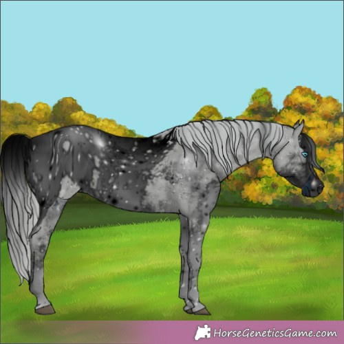 Horse Color:ERROR: UNKNOWN ANOMALY