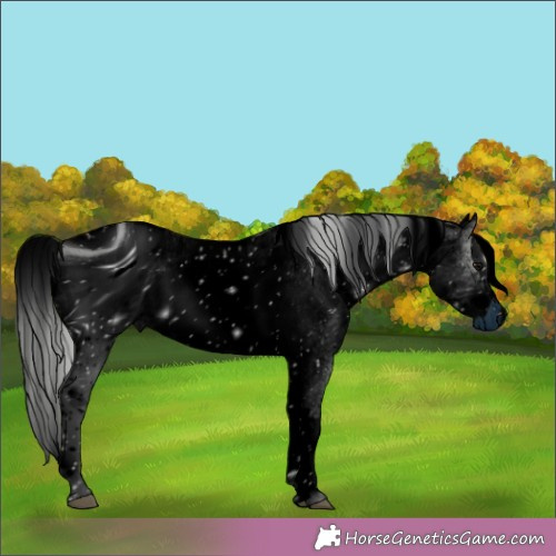Horse Color:ERROR: UNKNOWN ANOMALY