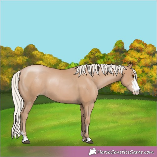 Horse Color:Silver Black Pearl Sabino 