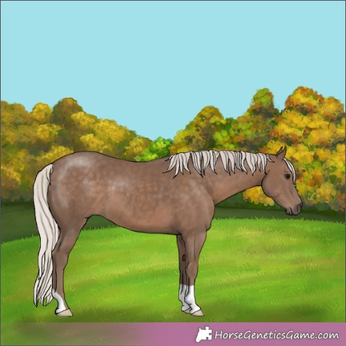 Horse Color:Silver Black 