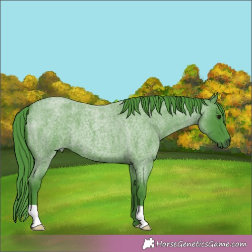 Horse Color:Watercolor Smoky Blue Roan 