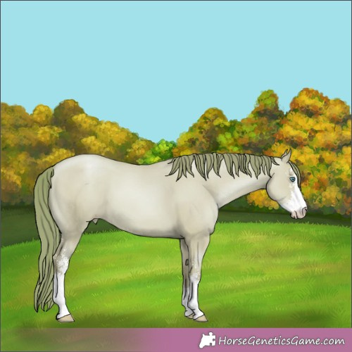 Horse Color:Watercolor Classic Champagne Pearl Dun Sabino 