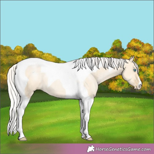 Horse Color:Silver Smoky Grullo Pearl Tobiano 