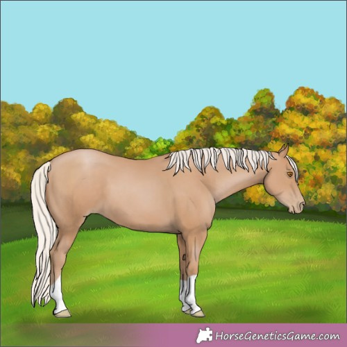 Horse Color:Silver Black Pearl 