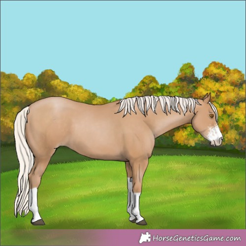 Horse Color:Silver Black Pearl Sabino Tobiano 
