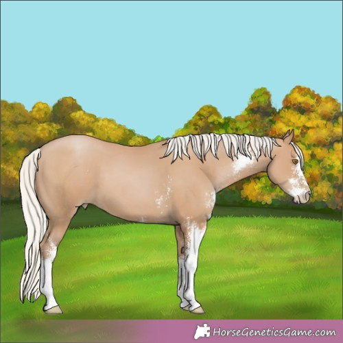 Horse Color:Silver Black Pearl Sabino 