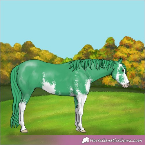 Horse Color:Watercolor Black Sabino 