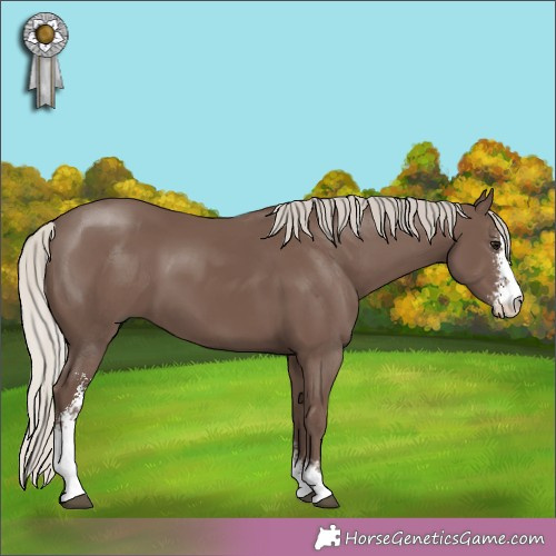 Horse Color: Silver Black Sabino 
