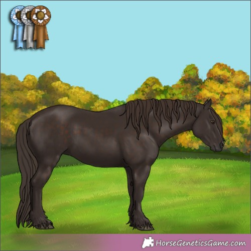 Horse Color:Liver Chestnut 