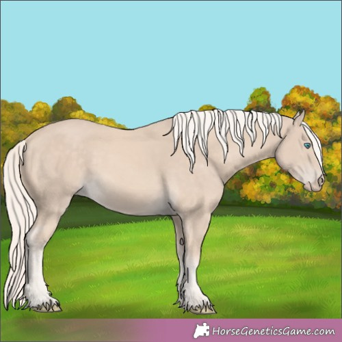 Horse Color:Cremello 