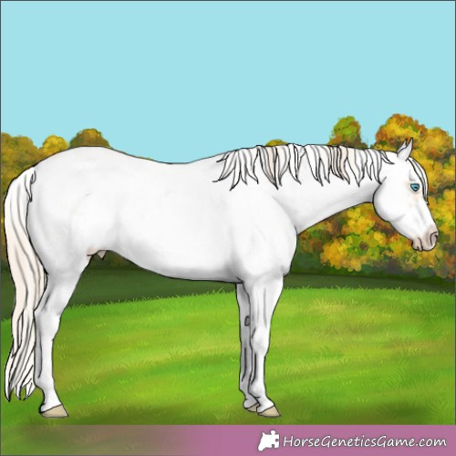 Horse Color:White Spotted Perlino Sabino Splash Frame 