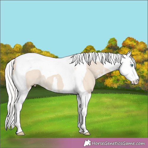 Horse Color:White Spotted Silver Smoky Creme Splash Tobiano 