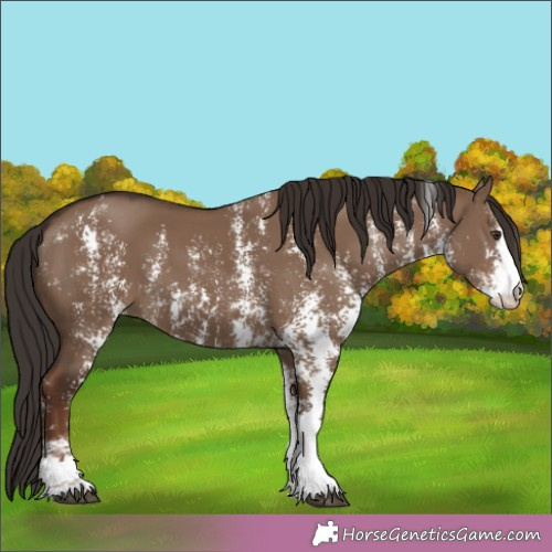 Horse Color: Liver Red Dun Sabino 
