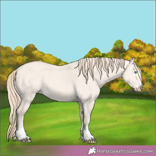 Horse Color:Perlino Dun 