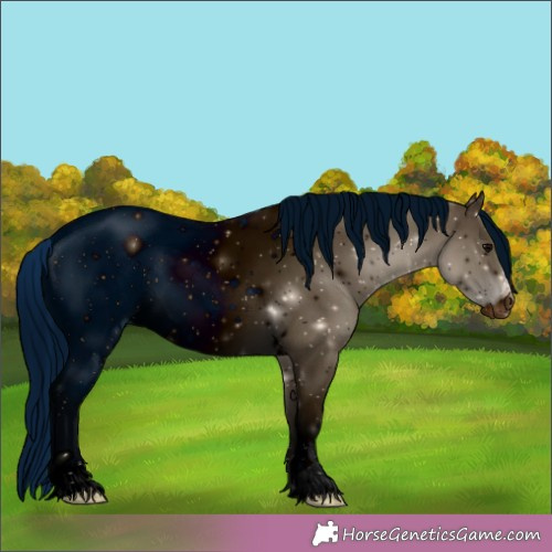 Horse Color:ERROR: UNKNOWN ANOMALY