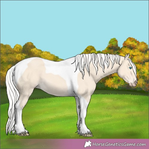 Horse Color:Cremello Tobiano 