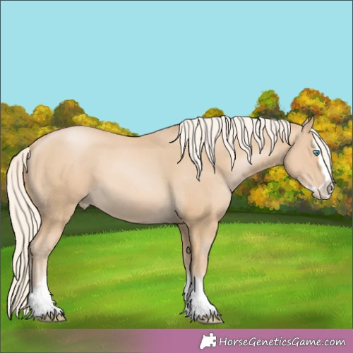 Horse Color:Palomino Pearl Splash 