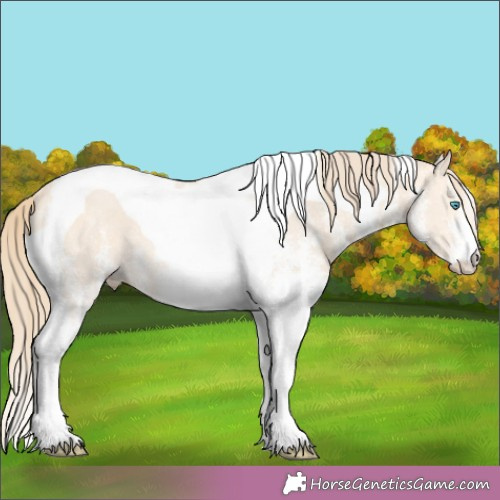 Horse Color:White Spotted Perlino Tobiano 