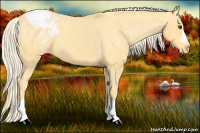 Horse Color:Palomino Snowcap 